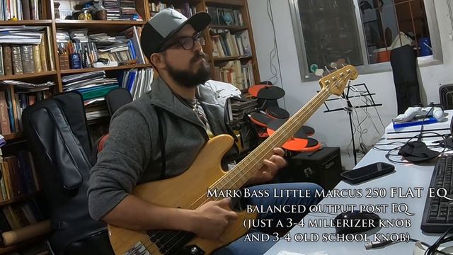 Marcus Miller - Power - Bass Cover - (Fender MM & Mark Bass Little Marcus 250) смотреть онлайн