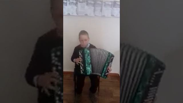 Бородавка Павел. Молдовеняска. Баян. смотреть онлайн