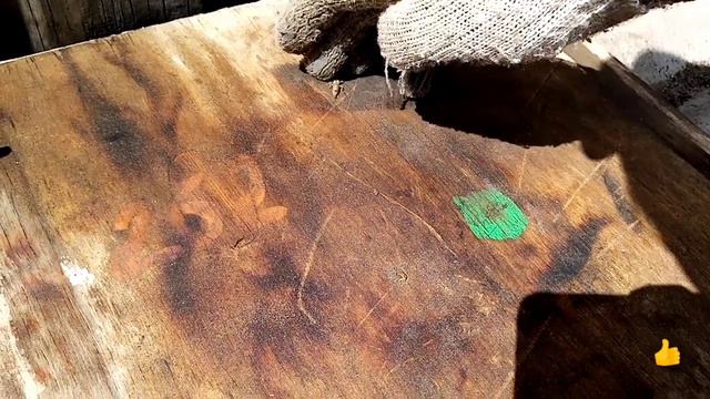 Как выглядит Двухвоска Альбинос. смотреть онлайн