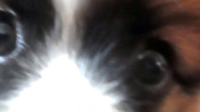 МИЛАШКА!!! смотреть онлайн
