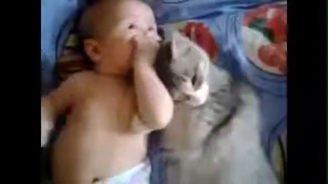 Удивительная КОШКА и её любовь к ребёнку! смотреть онлайн
