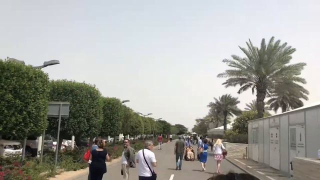 Мечеть шейха Зайда смотреть онлайн