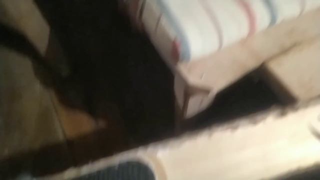 Волки ходят по реке#ловляхариуса смотреть онлайн
