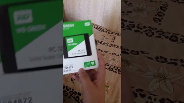благодарность подписчикам))) ssd wd green. смотреть онлайн