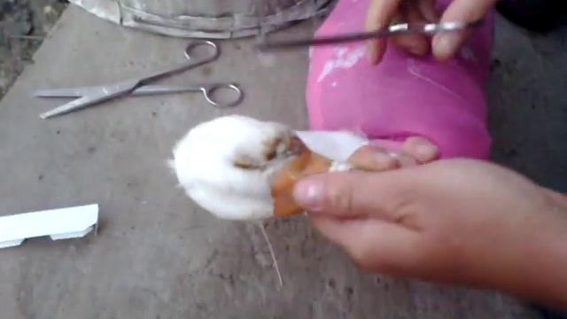 ..как мы гуся шили. смотреть онлайн