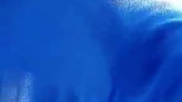 Кто такие синие скины.mp4 смотреть онлайн