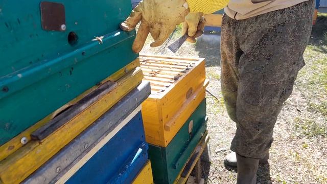 ПОЛУЧАЕМ МОЛОДУЮ СЕМЬЮ В НАЧАЛЕ МАЯ, средняя полоса, диафрагма в деле.