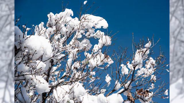 İstanbul'dan Kar Manzaraları - 2021 / Snow Landscapes from Istanbul - 2021 смотреть онлайн