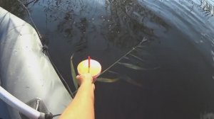 Первая рыбалка на снасть Кружки! Пробуем ловить щуку и окуня на спиннинг!