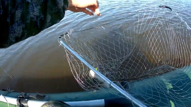 Эта уже лишняя!Хороший клёв крупной щуки. смотреть онлайн