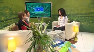 Как ухаживать за канарейкой