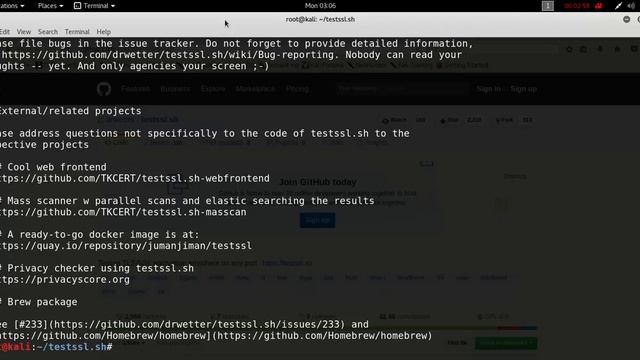 SSL pentesting easy way -testssl.sh смотреть онлайн
