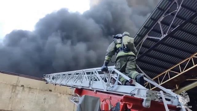 С днем пожарной охраны России 2024 смотреть онлайн