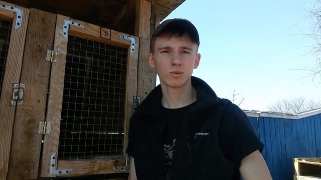 Лучшая поилка для кроликов смотреть онлайн