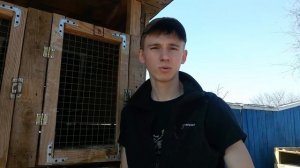 Лучшая поилка для кроликов