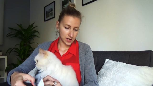 Cairn Box Unboxing | October 2017 смотреть онлайн