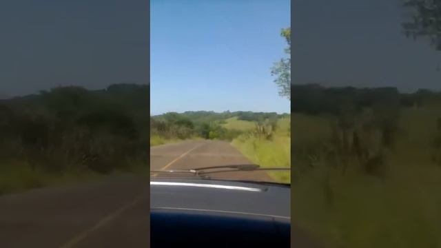 Passeio de Fiat Punto 2008 смотреть онлайн