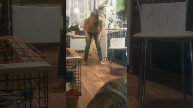 Первое задание на вылет. Бешеная сушка 10. 1,5 минуты бёрпи. 16.07.2016 смотреть онлайн