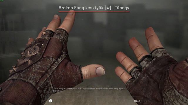 🖐️ CS:GO Broken Fang Glove | Needle Point (Well-Worn) - Showcase Unboxing Review смотреть онлайн