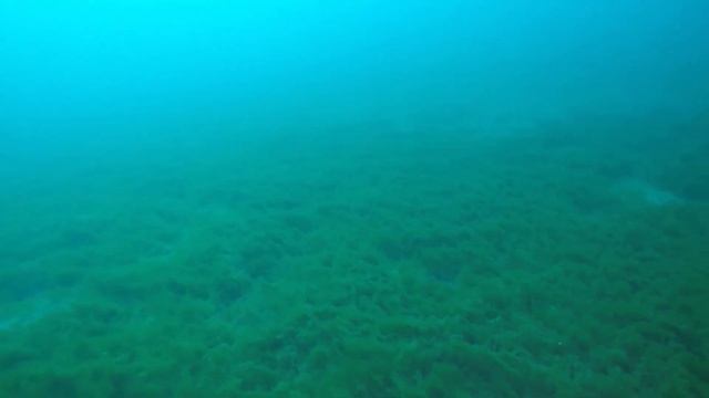 Middle Island Sinkhole Inspection смотреть онлайн