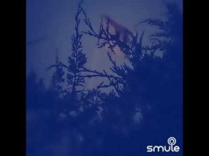 «Разговор» (Попутчик) Виталия Аксенова от @russian_oirad