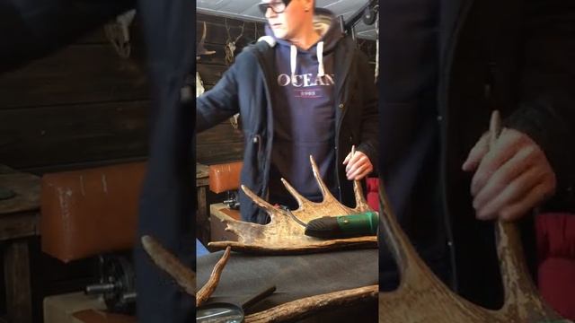 Реставрация лосинных Рогов смотреть онлайн