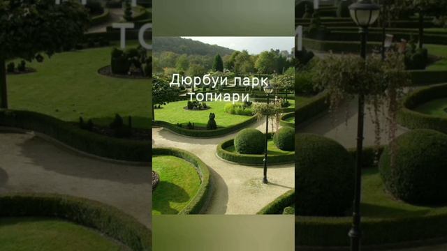 #сад #ландшафт #природа #искусство #алтай #АГУ смотреть онлайн