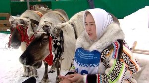 Оленеводы в Ханты-Мансийске