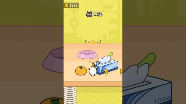 Hide & Seek: Cat Escape - Infinity | Endless Mode Gold Crown 15 Gameplay Android/iOS Mobile Game смотреть онлайн