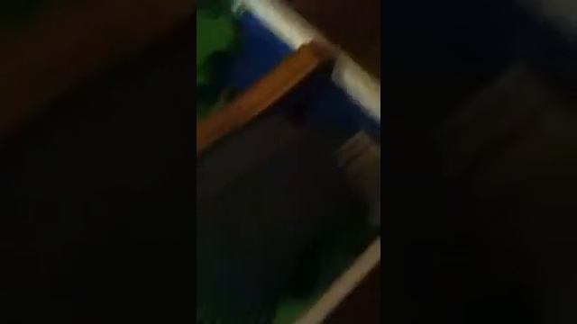 Rube Goldberg For Beginners смотреть онлайн