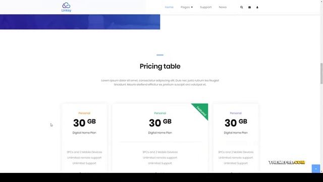 Linksy - domain and hosting provider WordPress theme domain cdn Build Website смотреть онлайн