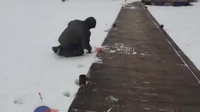 Форель опять начала прятаться под мостами