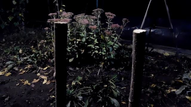 Как Укрыть Гранат на Зиму смотреть онлайн