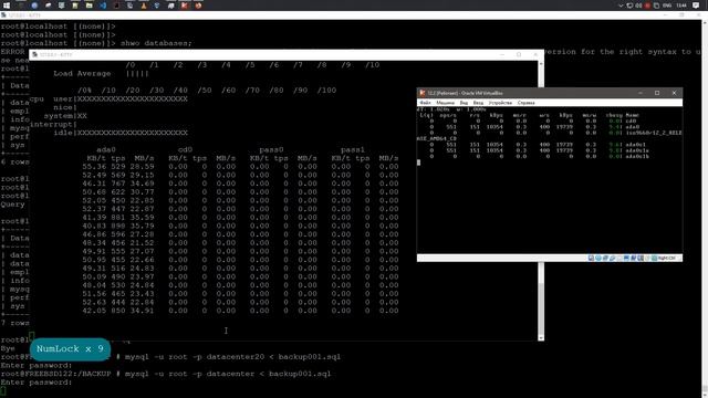 Создание и разворачивание дампа MySQL в терминале FreeBSD 12.2 смотреть онлайн