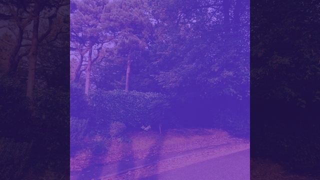 Звуки (Расслабление)