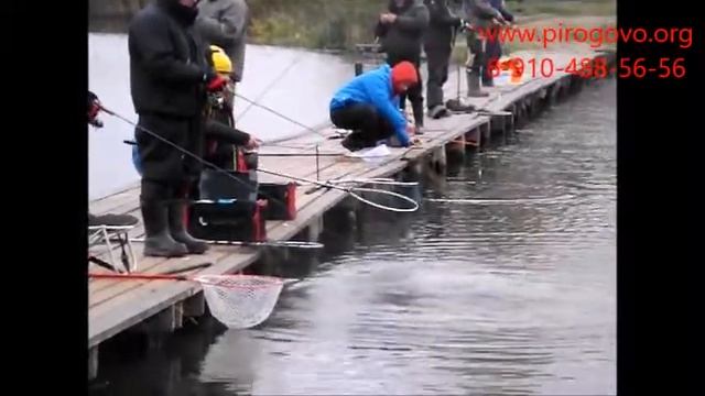 Платная рыбалка смотреть онлайн