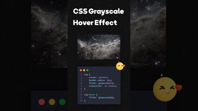 CSS : Grayscale Hover Effect ?? #csstricks #animations #htmItutorial #css3 #frontend #coding смотреть онлайн