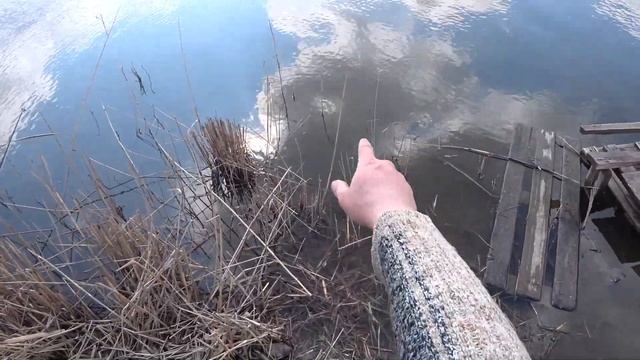 Ловля крупного карася !!! смотреть онлайн