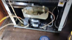 Холодильник Бирюса не морозит верхняя камера