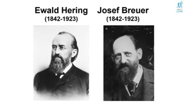 Chapitre 7-3 Respiration Et Milieu De Vie : Le Contrôle De La Ventilation