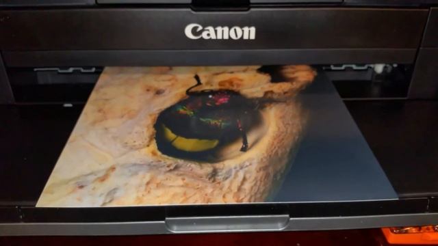 2017 Review of the Canon Pro100 professional photo printer Pro 100 for Color and black and white pi смотреть онлайн