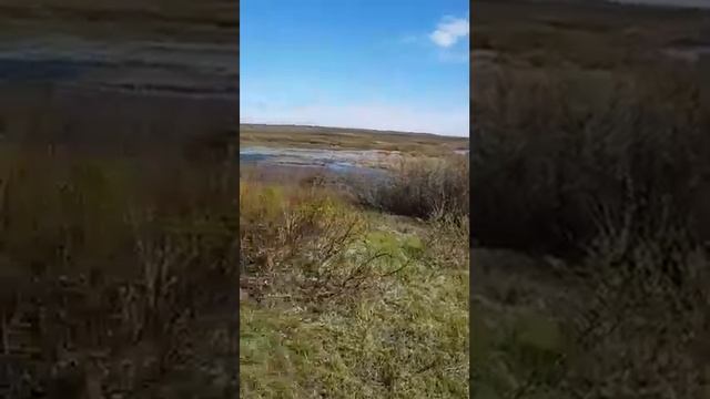 рыбалка в воркуте смотреть онлайн