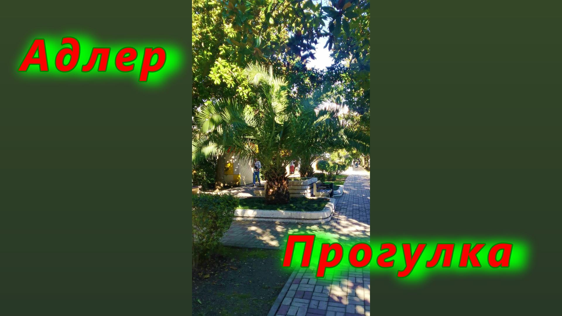 Прогулка по весеннему Адлеру сегодня смотреть онлайн