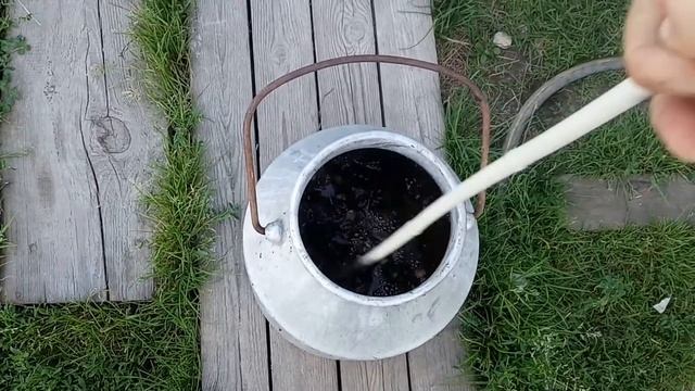 Как посадить белый гриб на своем участке. Правда или нет??? Эксперимент. смотреть онлайн