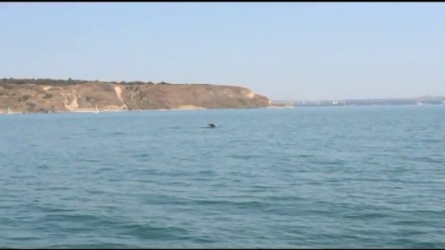 Морское Братство 2013 смотреть онлайн