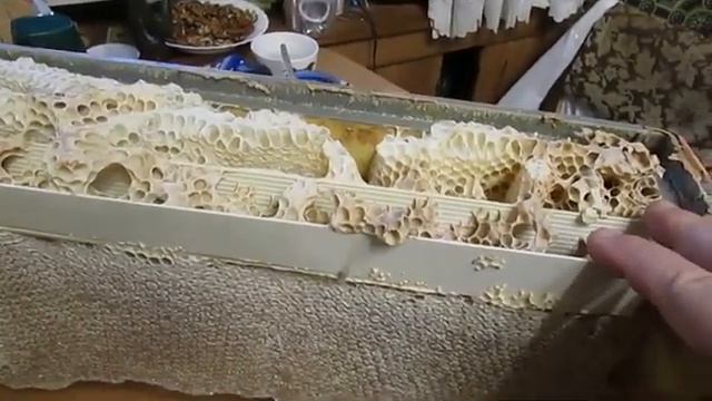 поперечные брусочки на верхние бруски рамок под холстик при зимовке пчел , зачем они нужны смотреть онлайн