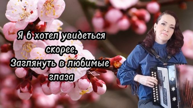 "Расцвели саратовские вишни" Караоке под гармонь... смотреть онлайн