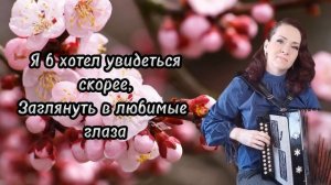 "Расцвели саратовские вишни" Караоке под гармонь...