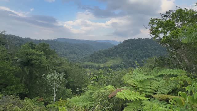 La Melba. Alejandro de Humboldt national park. Cuba / Нац.парк имени Александра вон Гумбольдта смотреть онлайн
