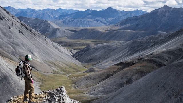 Top 10 Extreme Animal Hunting Grounds - TTC смотреть онлайн
